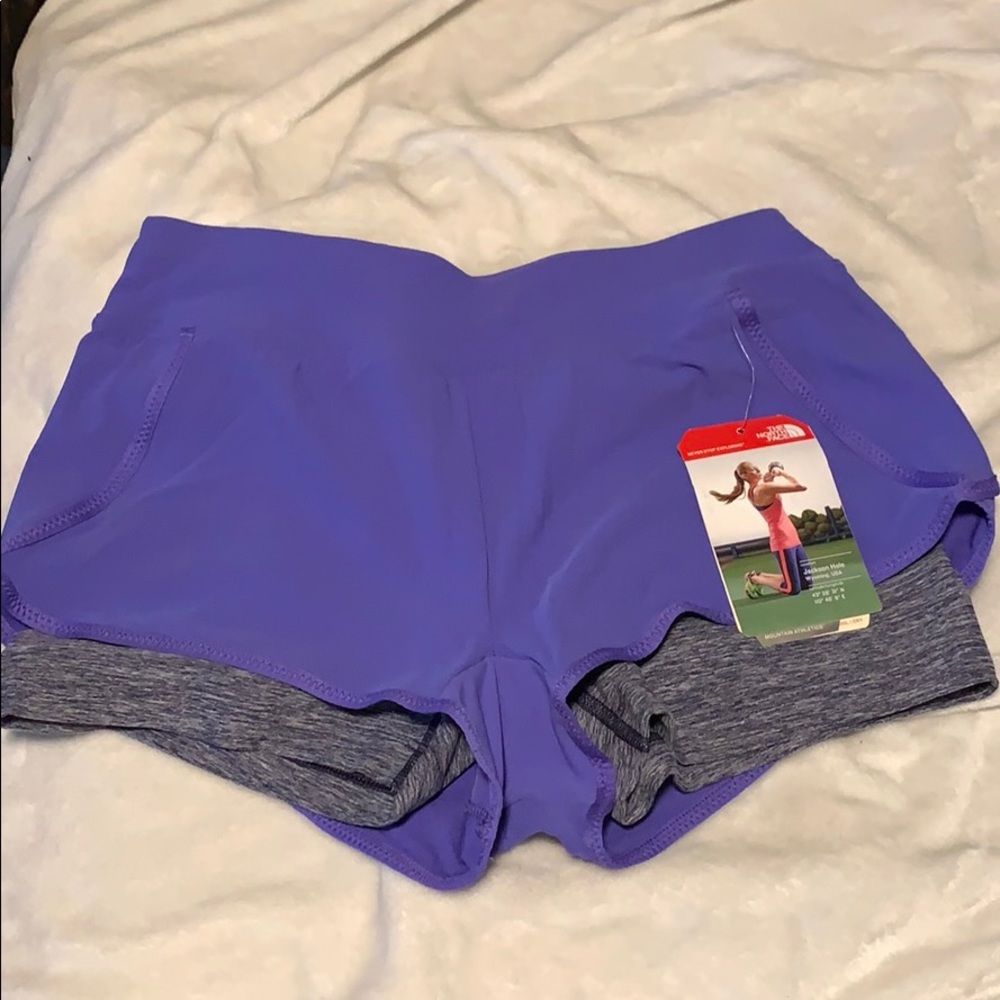 The north face shorts